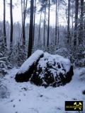 Findling Teufelsstein im Kemmener Forst bei Calau in Brandenburg, (D) (4) 24. Januar 2015.JPG